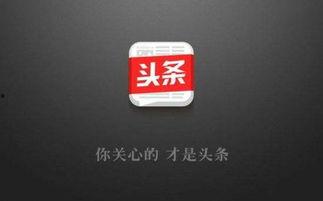 今日头条投资人爆料,揭秘投资背后的真相与内幕 第1张 今日头条投资人爆料,揭秘投资背后的真相与内幕 第1张